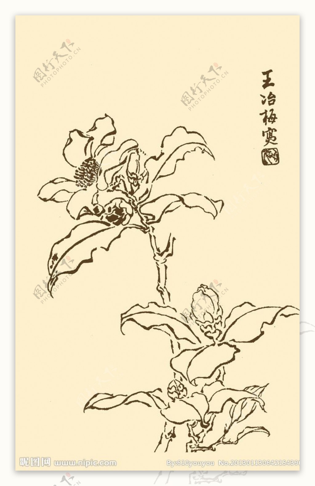 芥子园画谱花卉图片