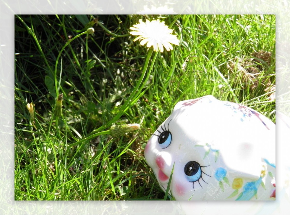 小瓷猪和蒲公英花朵图片