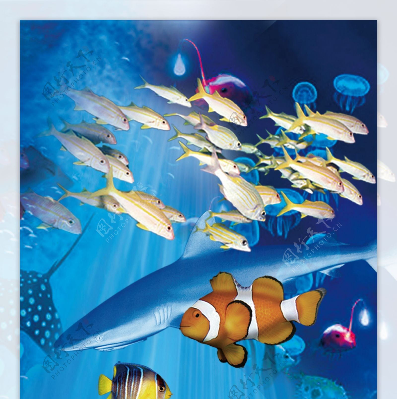 海底世界扑鱼电玩图片