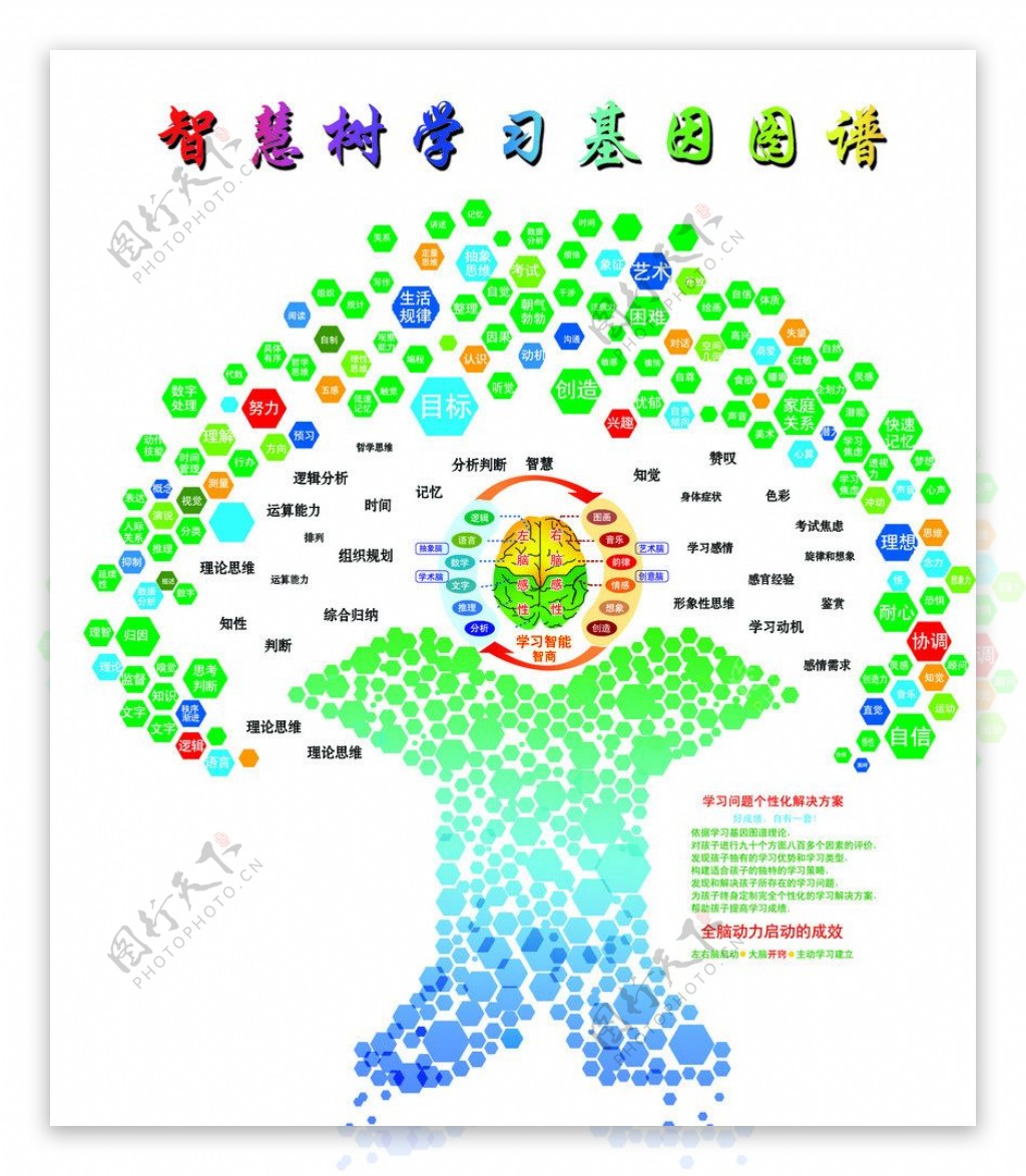 智慧树学习基因图谱图片