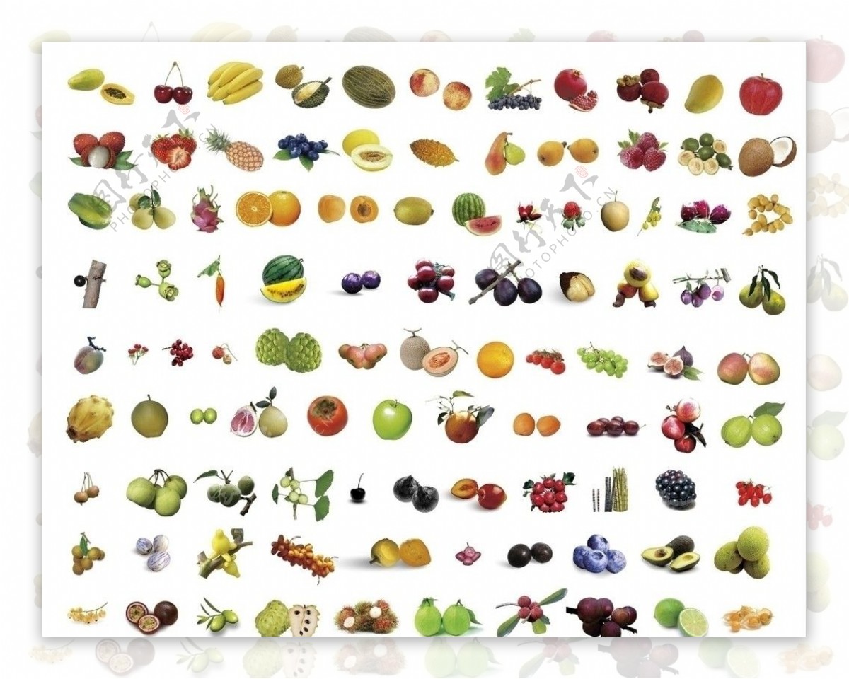 百种水果分层素材图片
