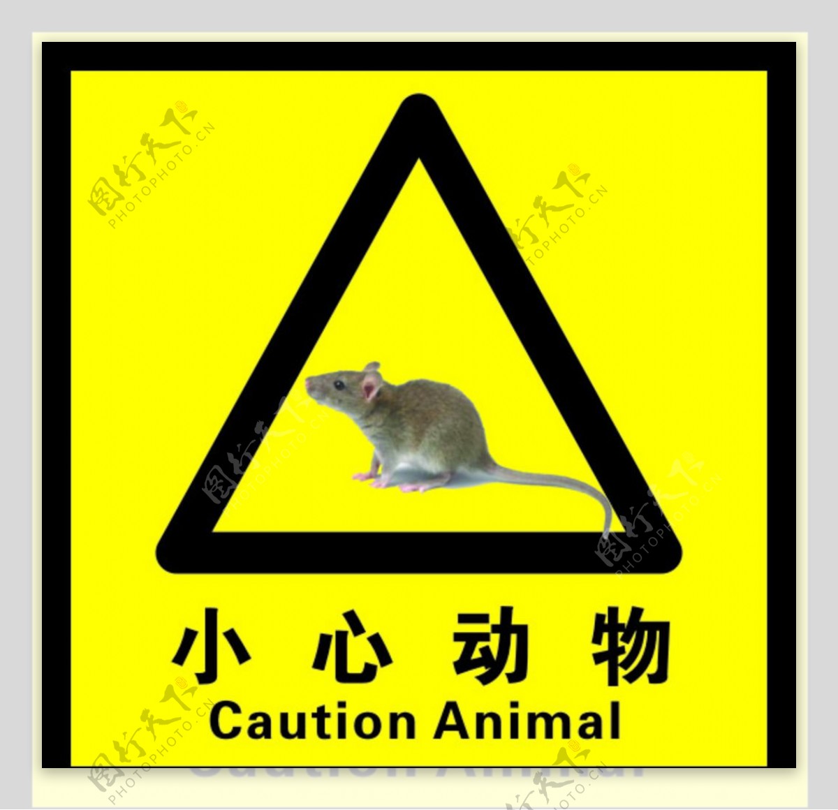小心动物标志图片