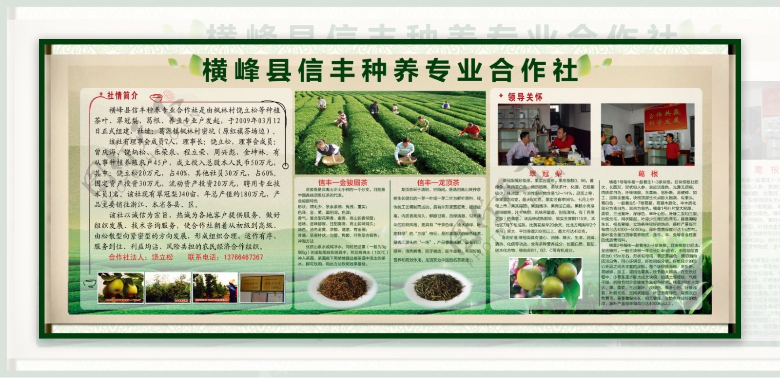 茶叶种养基地宣传栏图片