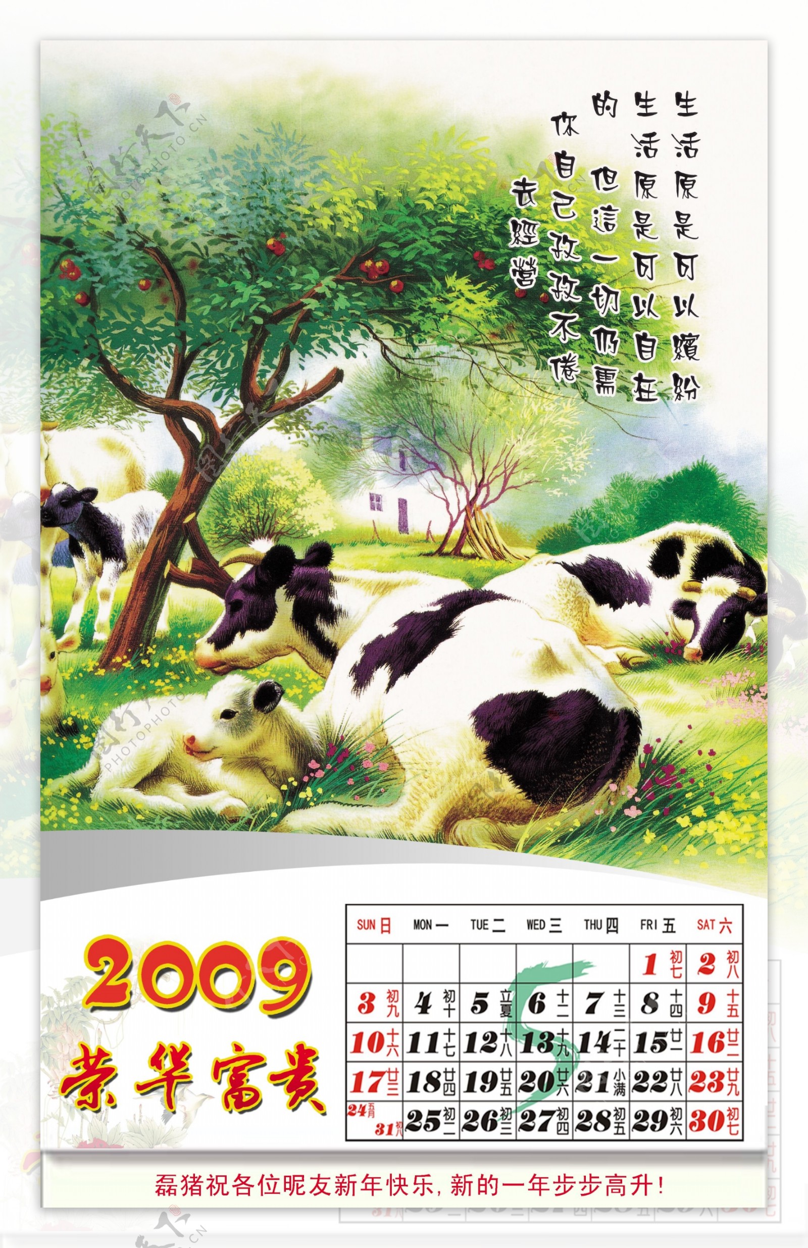 2009牛年挂历全套5月份图片