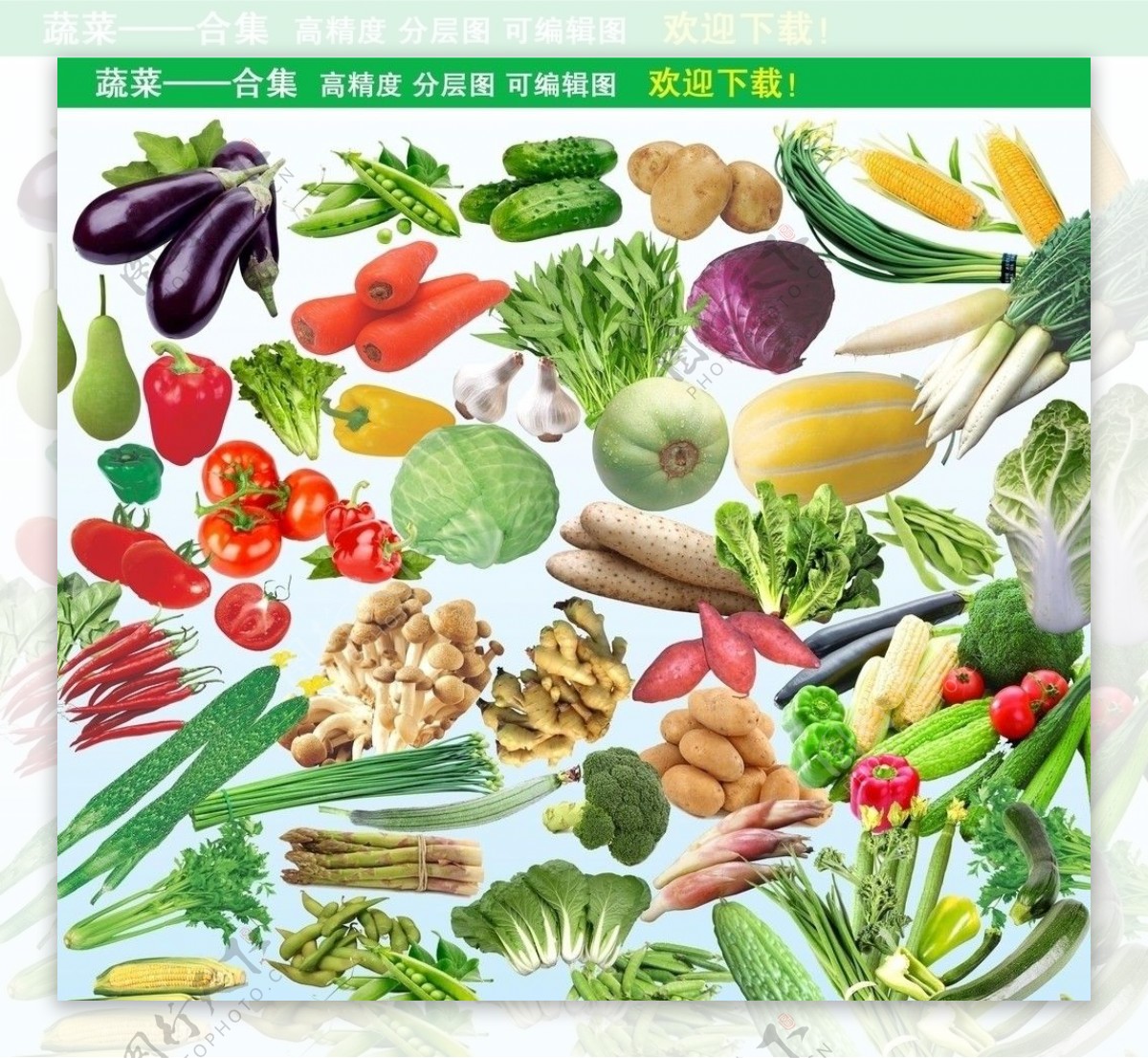 蔬菜合集天然绿色食品蔬菜图片