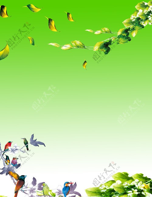 绿色花鸟展板背景图片