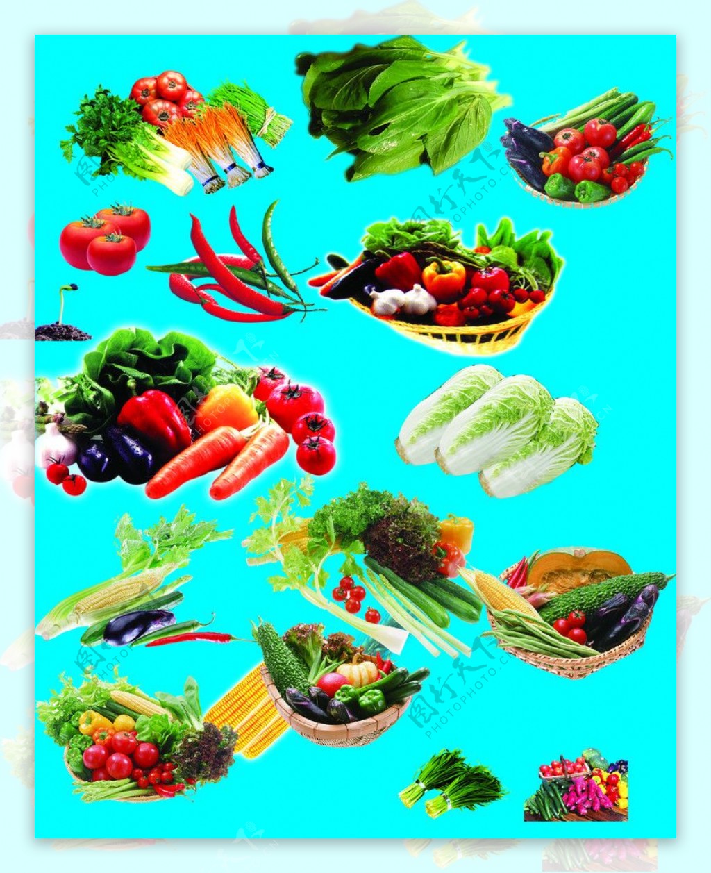 新鲜果蔬组合高清图片下载-正版图片501121369-摄图网