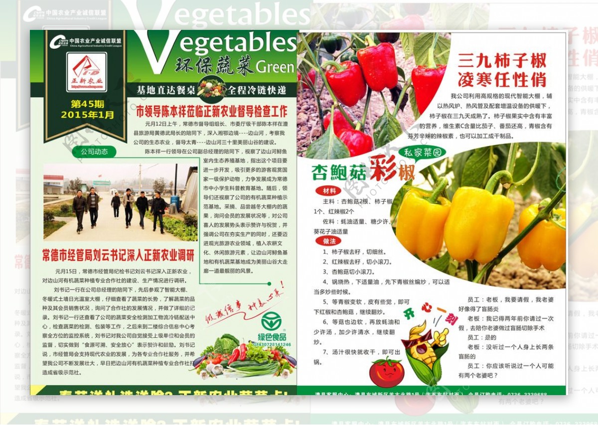 正新农业有机生态蔬菜种植期刊图片