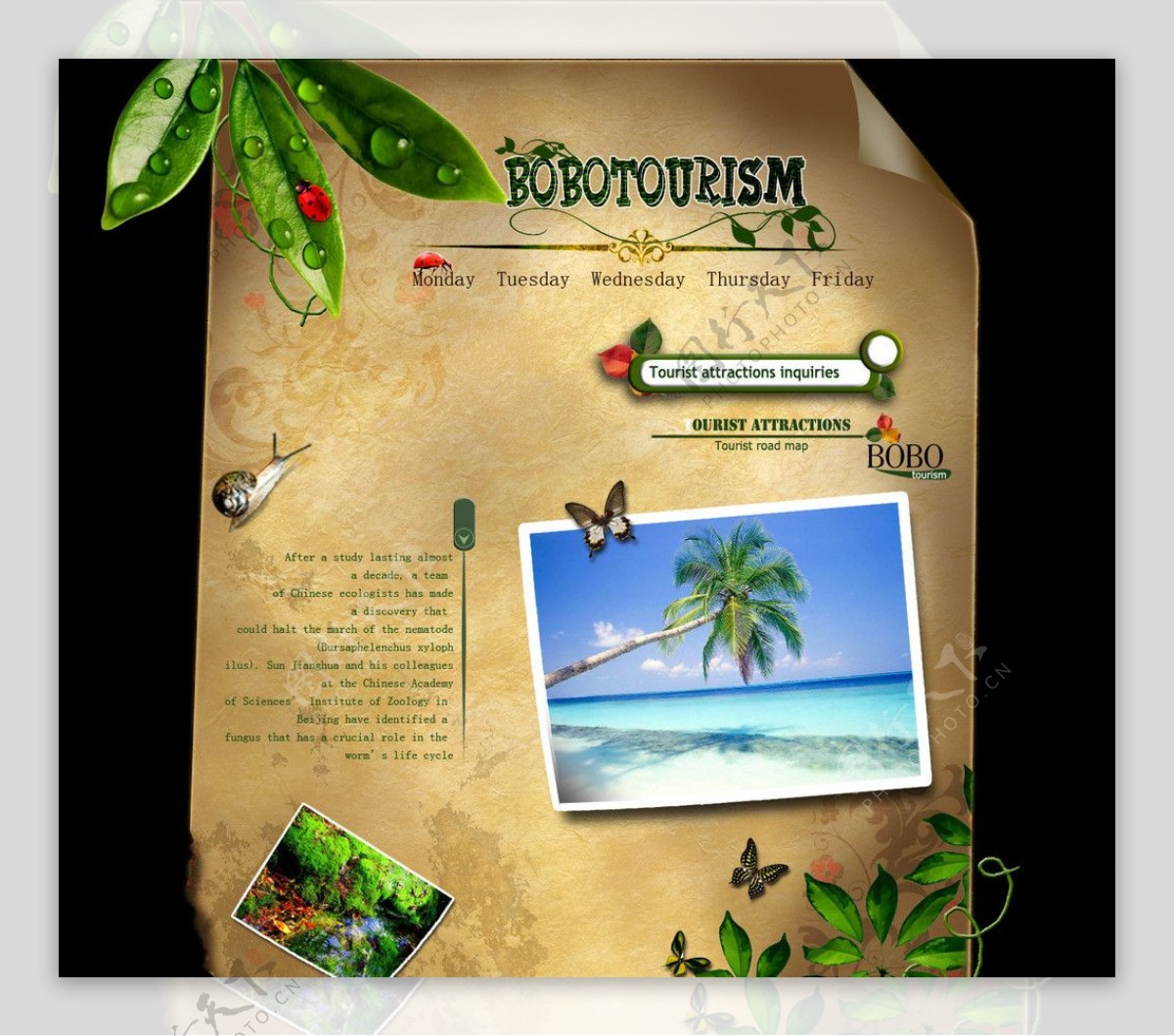旅游公司网页设计图片
