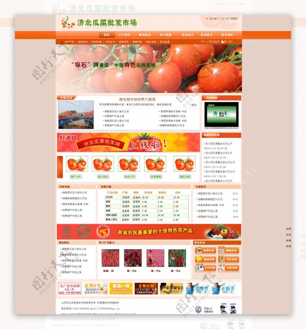 济阳番茄市场图片
