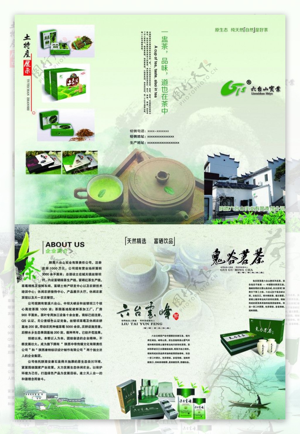 茶叶折页图片