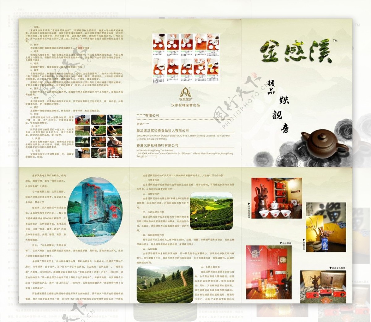茶叶宣传册宣传单图片
