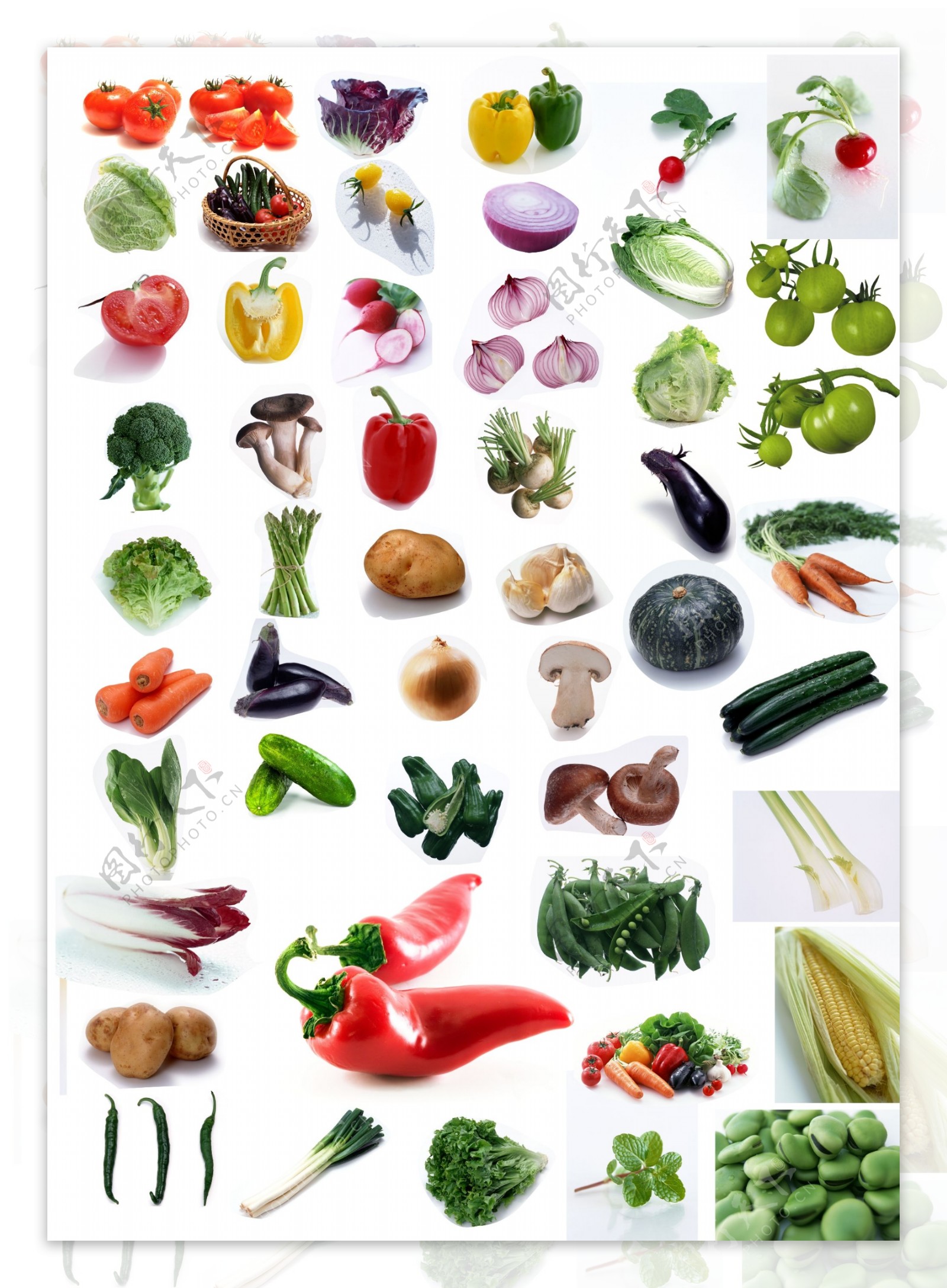 蔬菜大全图片素材-编号23926426-图行天下
