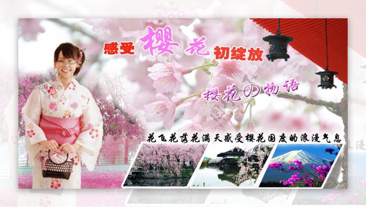 日本赏樱花图片