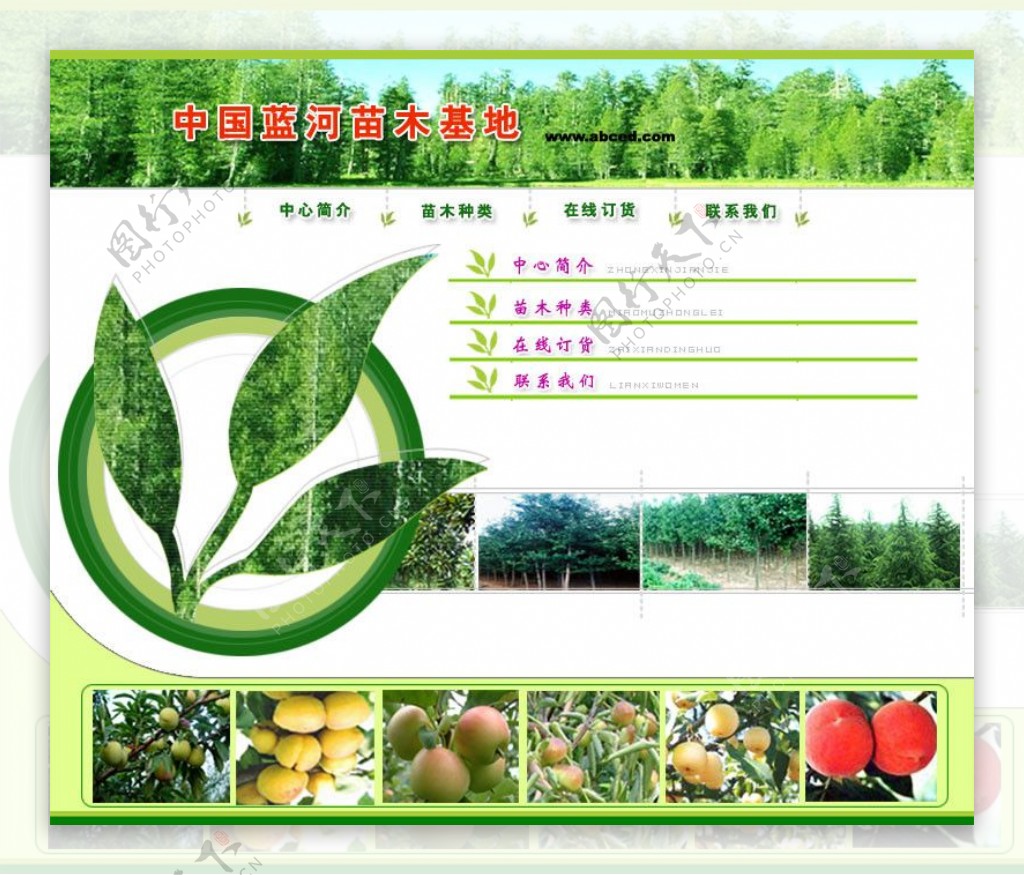 绿色园林模板图片