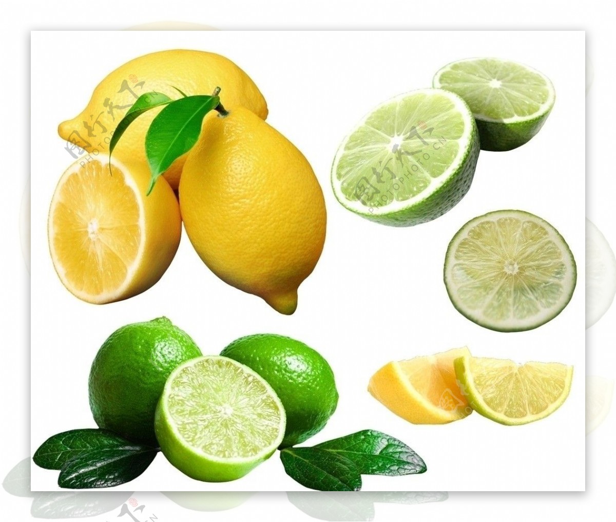 柠檬柠檬片图片