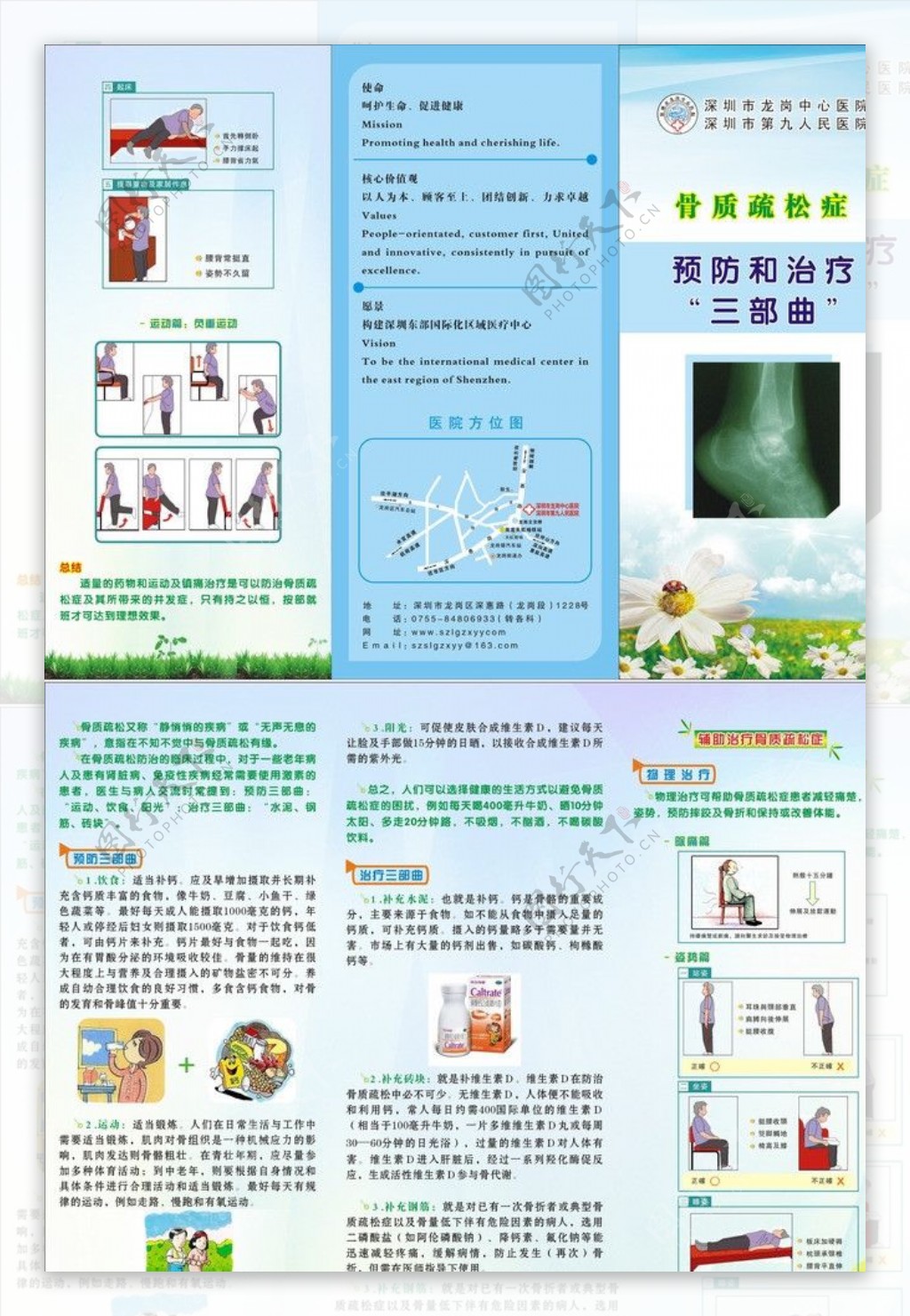 骨质疏松预防和治疗三折页图片