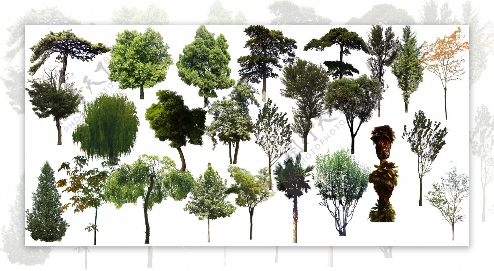 园林景观花草树林透视鸟瞰PSD分层效果图3图片