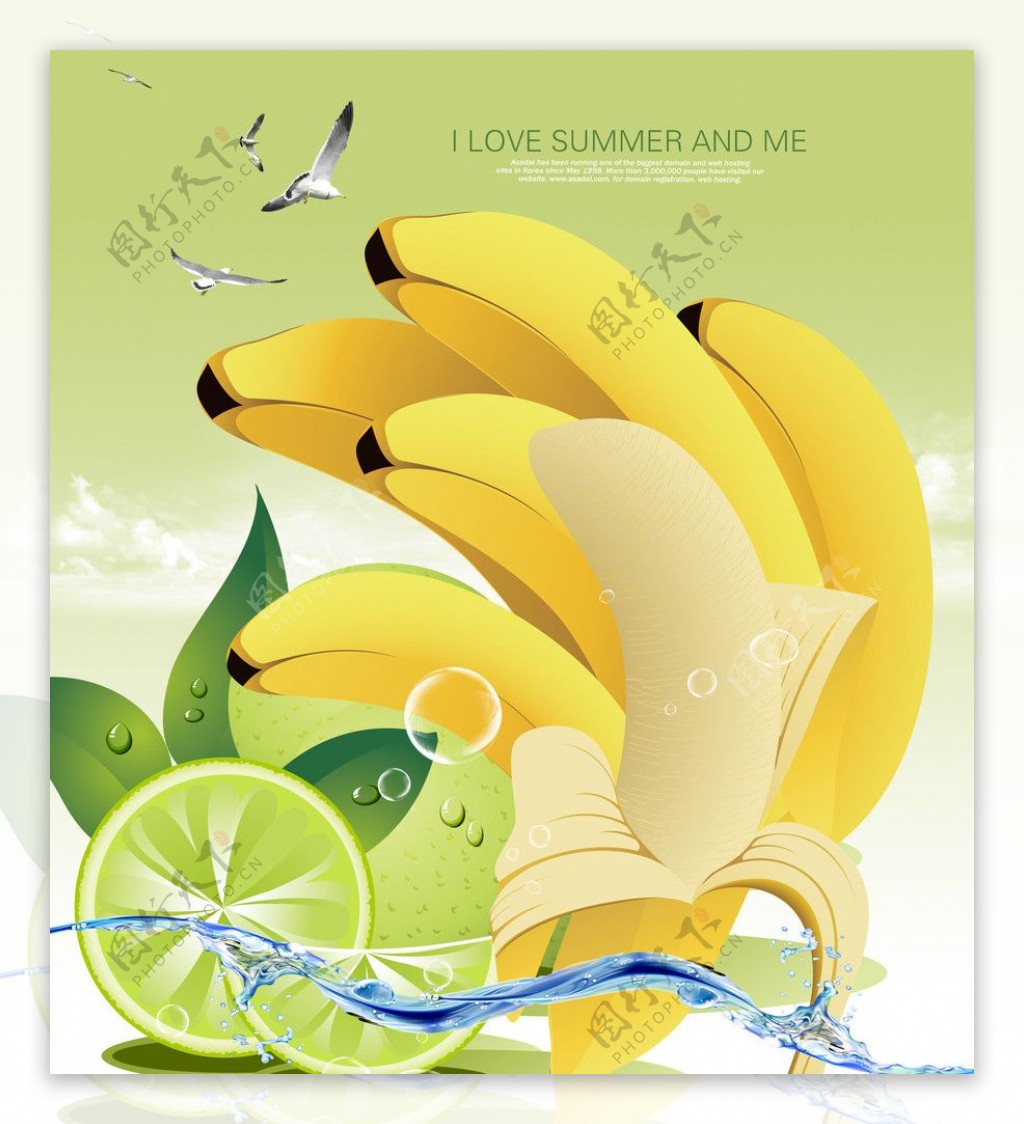 有叶子的柠檬鸟水泡高清香焦大得可能做超大海报图片