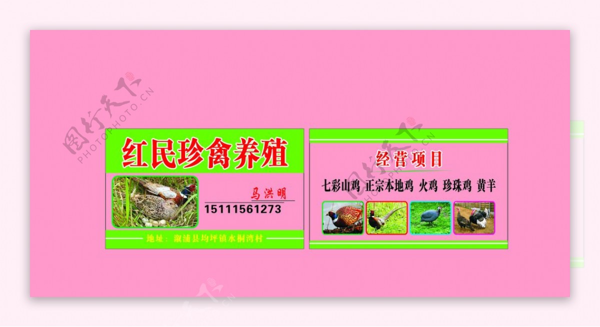 红民珍禽养殖名片图片