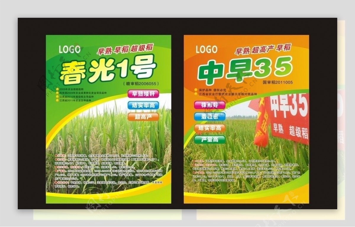 水稻宣传单图片