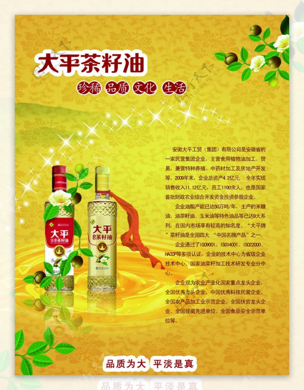 大平茶籽油广告单页图片