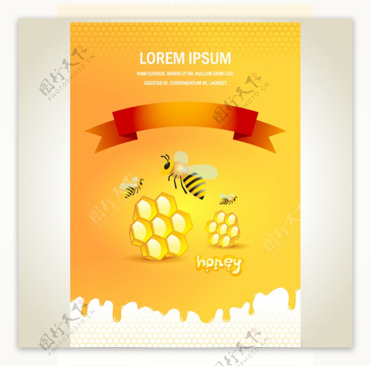 蜜蜂与蜂蜜海报设计图片
