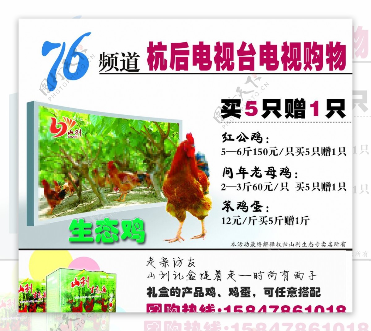 传统自由放养家禽农场的鸡 高清摄影大图-千库网