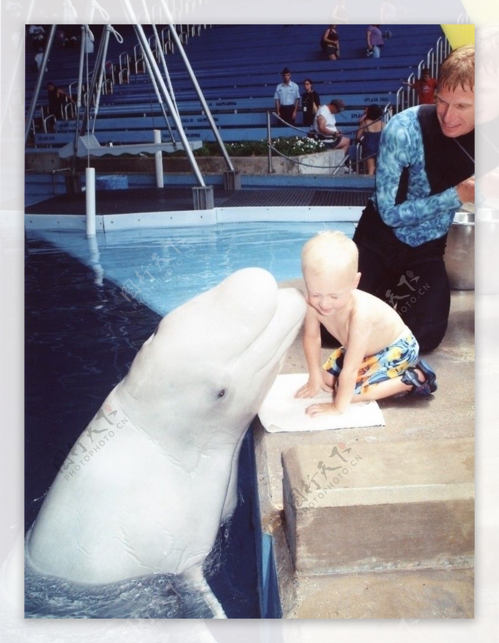 小男孩被白色海豚亲了图片