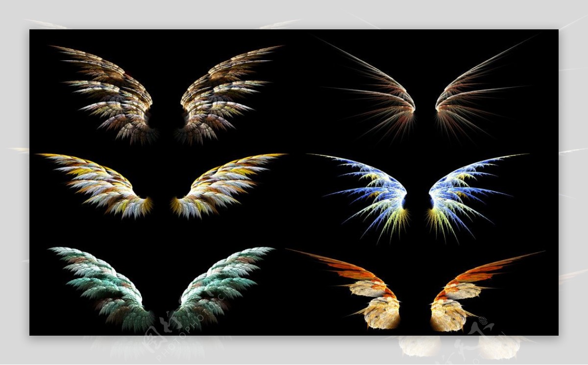 六款精美翅膀分层素材图片