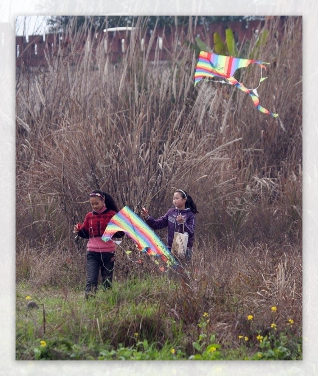 芦苇风筝少女图片