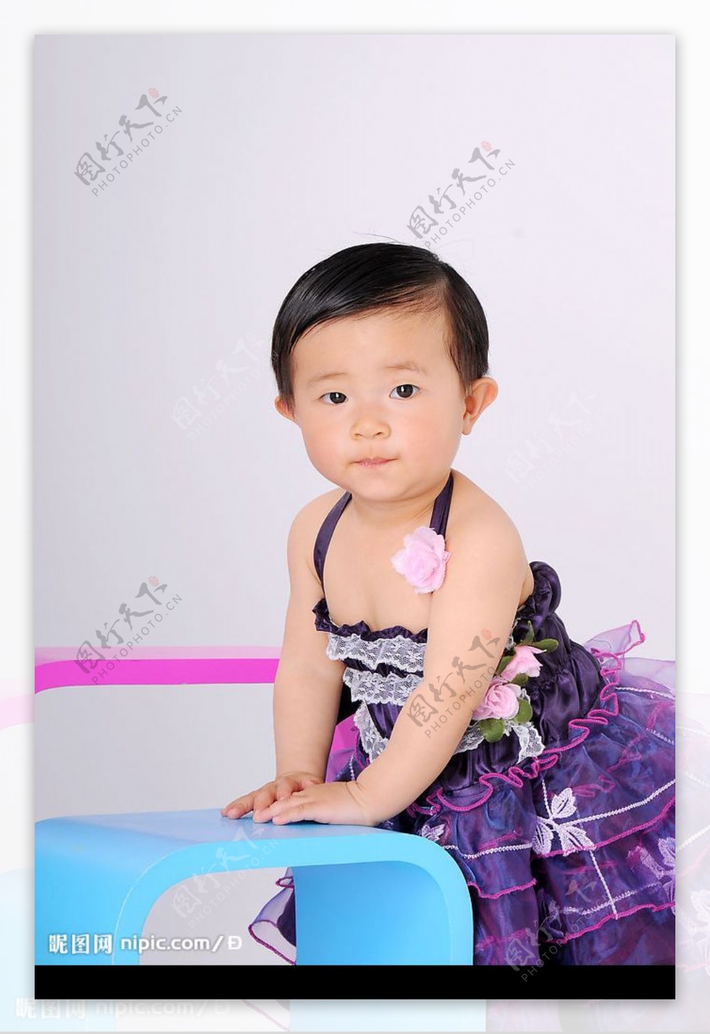紫衣宝宝图片