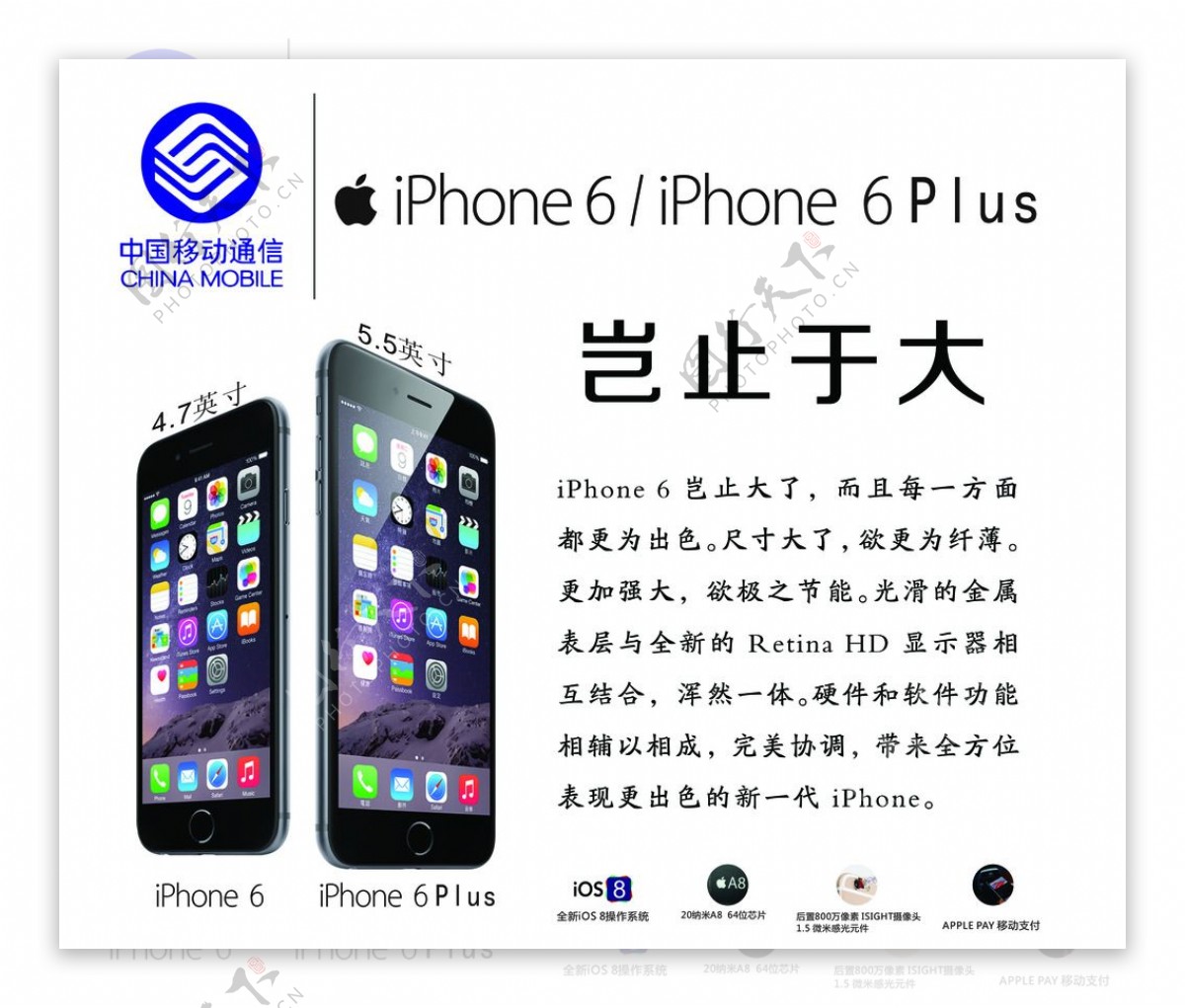 iphone6与plus图片