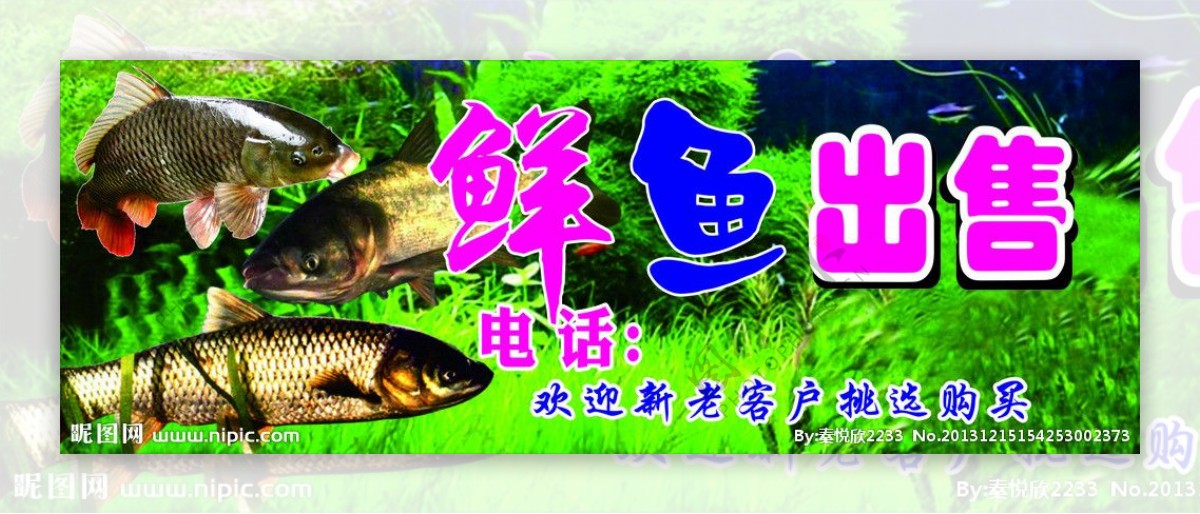 鲜鱼出售广告图片