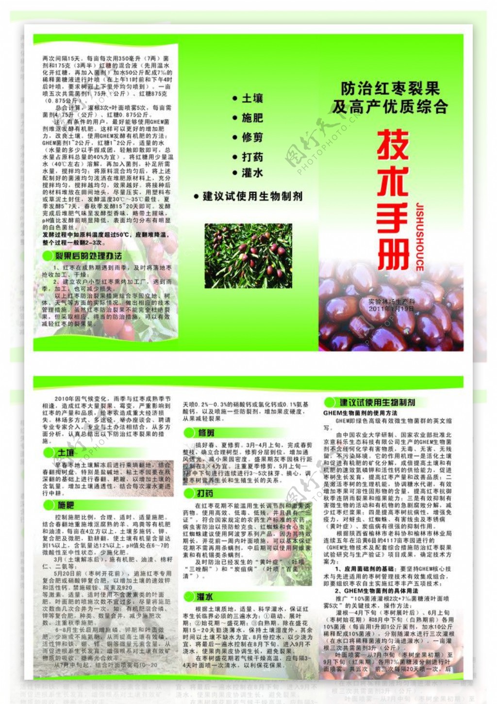 红枣技术手册图片