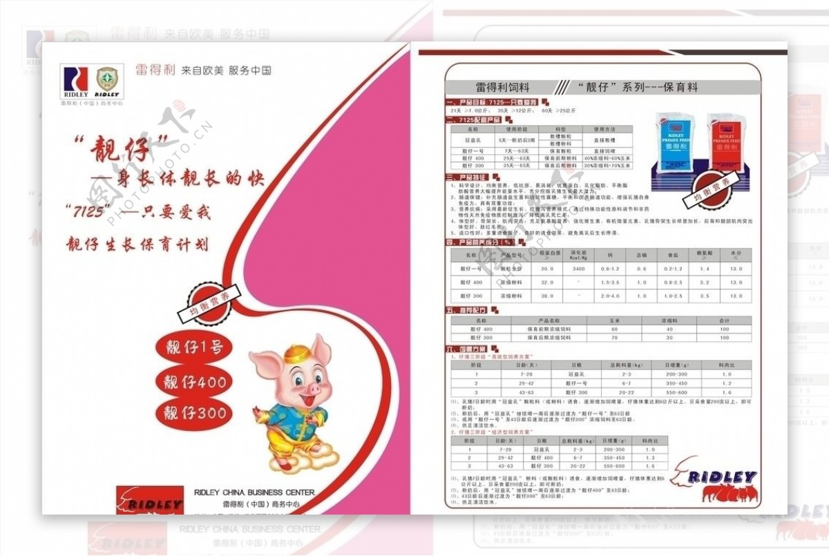 雷得利单页图片