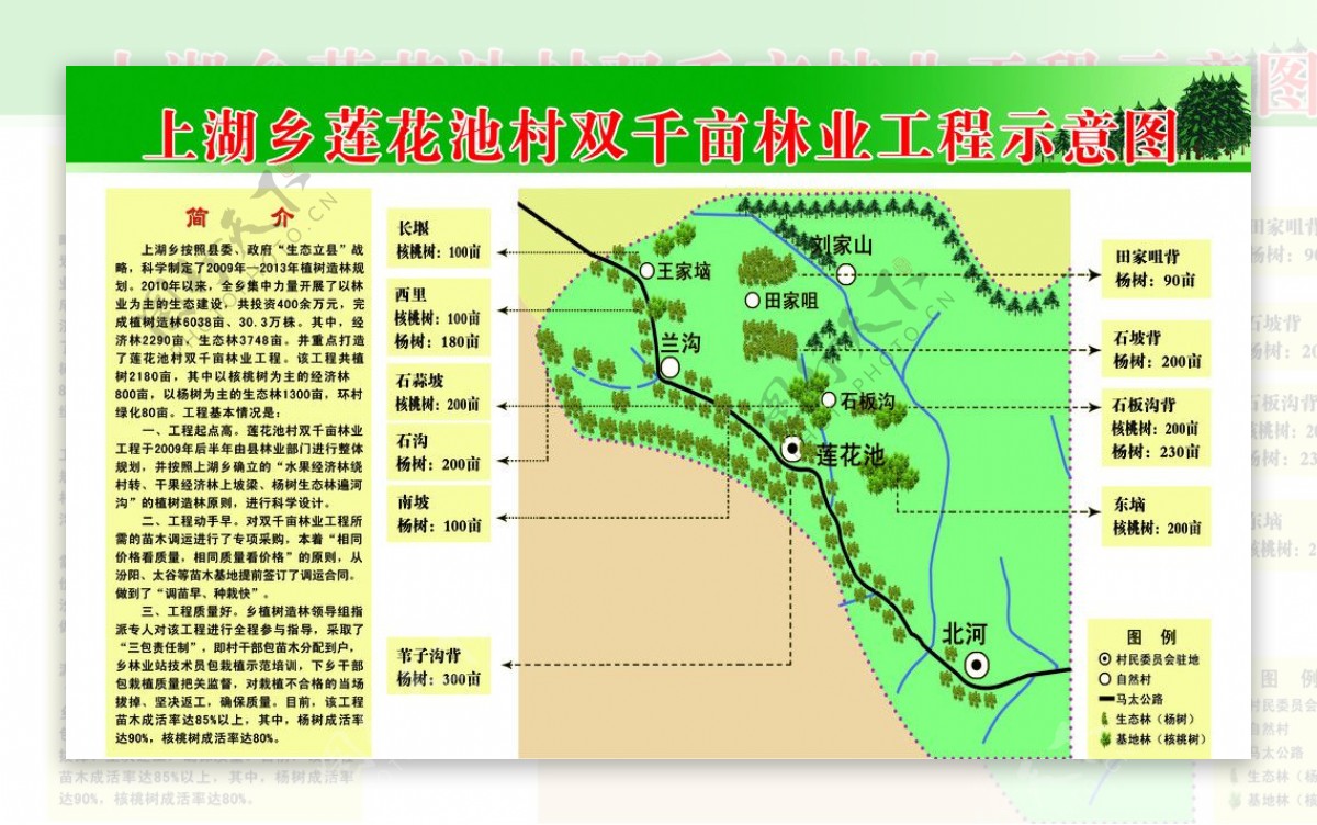 莲花池双千亩林业工程意示图展版图片