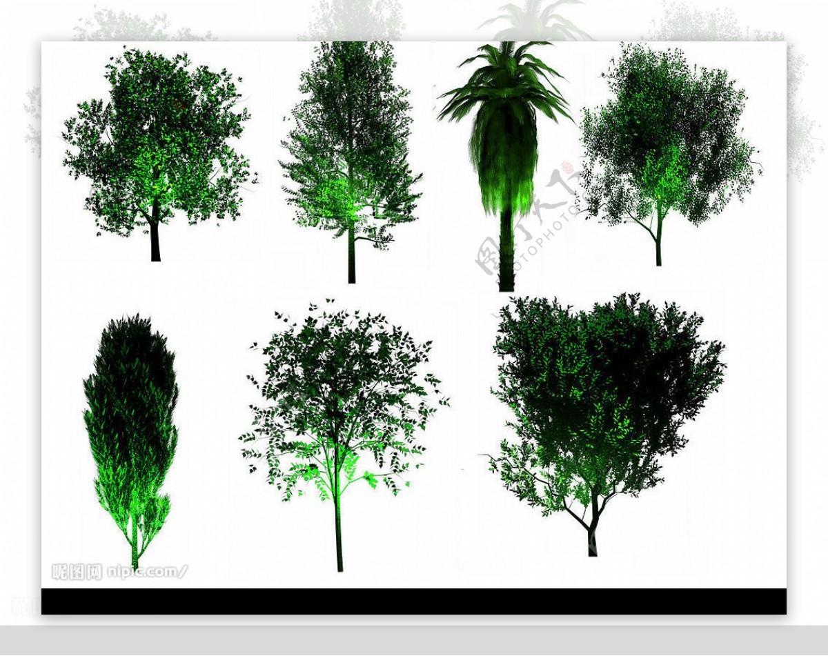 灯光效果景观树木PSD素材1图片