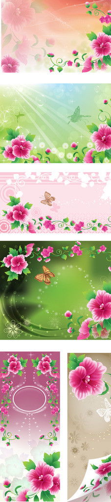花纹花卉卡片条幅横幅图片