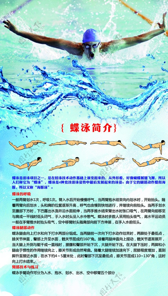 蝶泳简介海报图片
