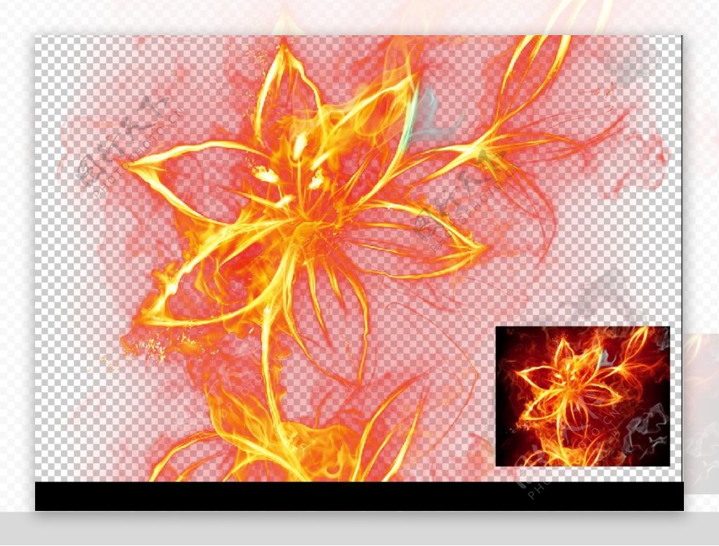 高清透明分层火焰盛开的花儿图片