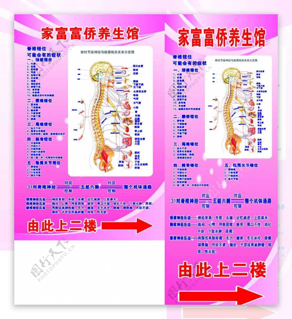 脊椎图图片