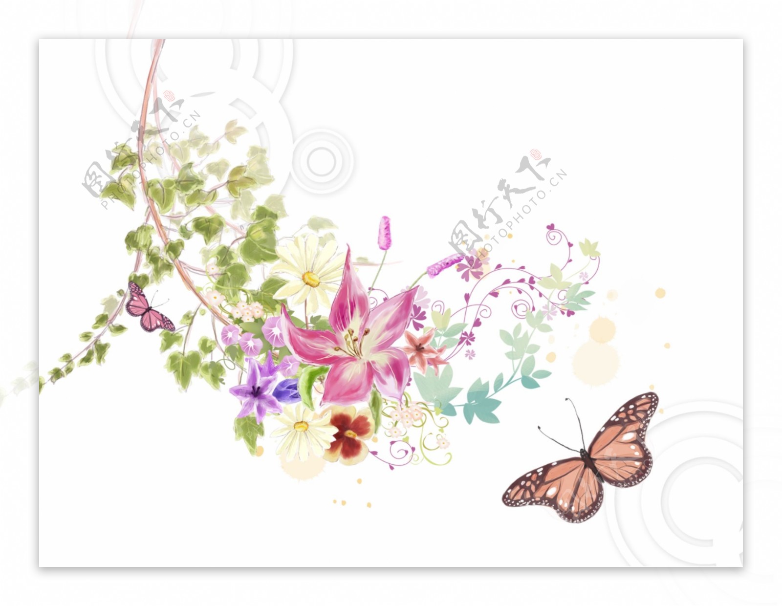 花蝴蝶背景图片