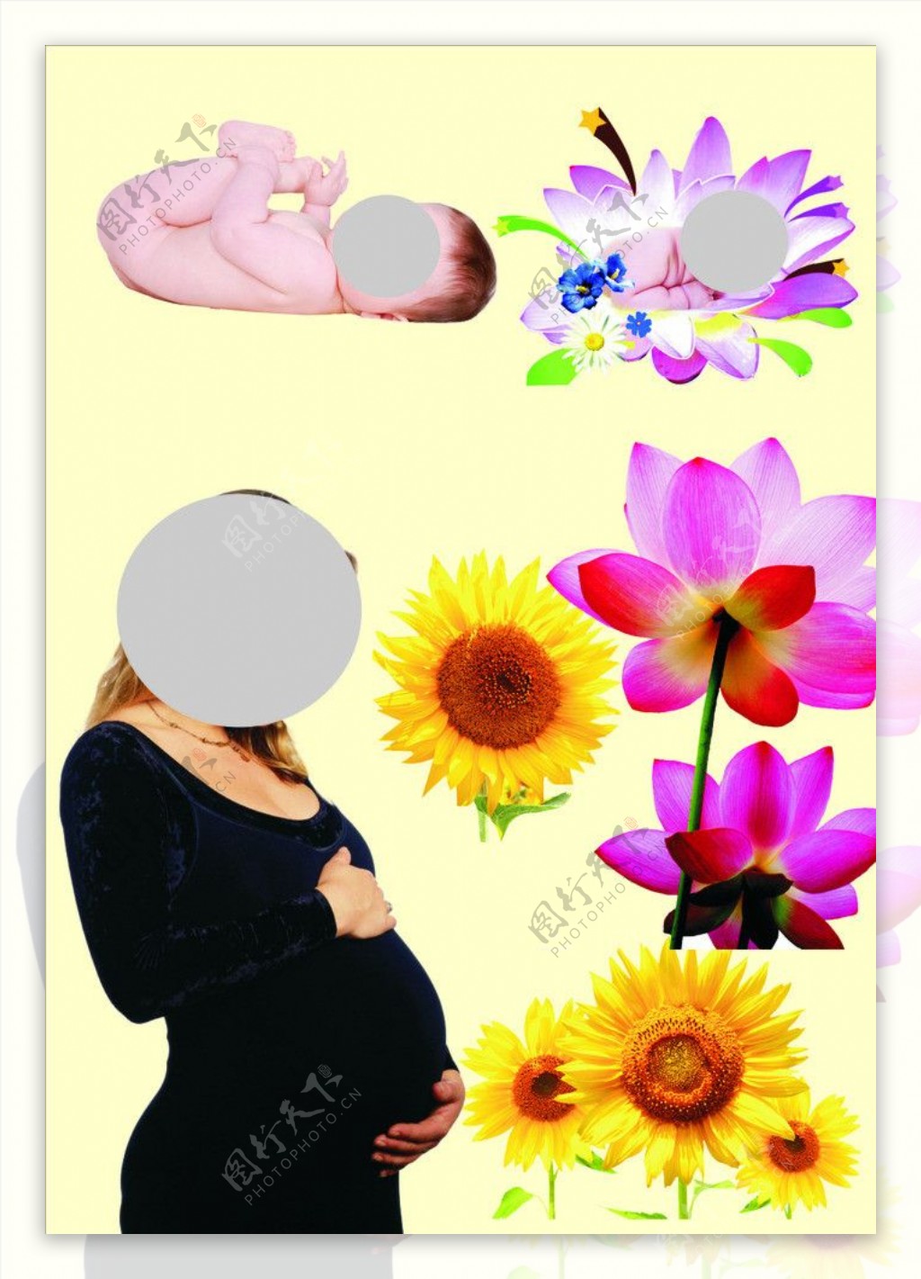 孕妇婴儿花图片