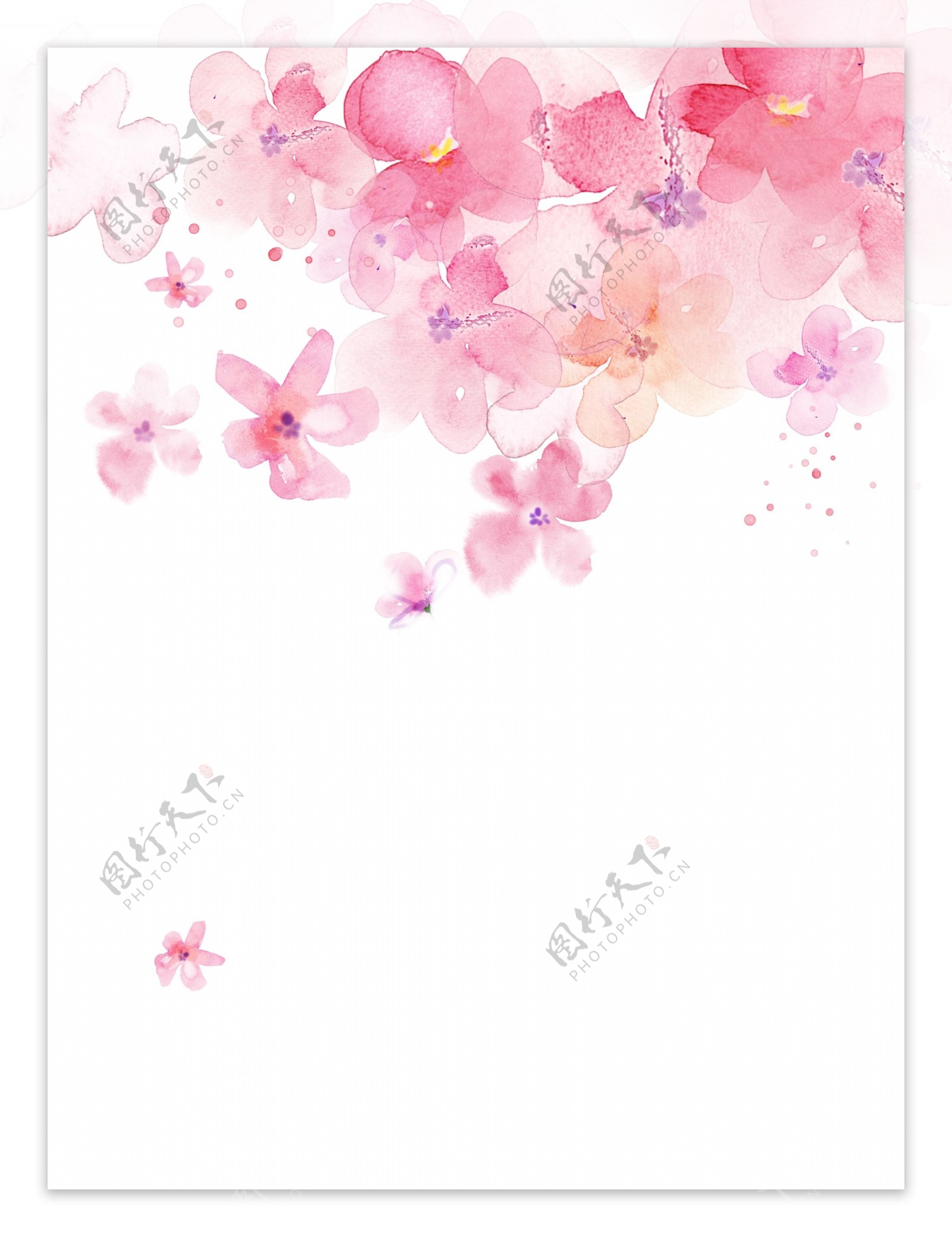 粉色花朵素材图片