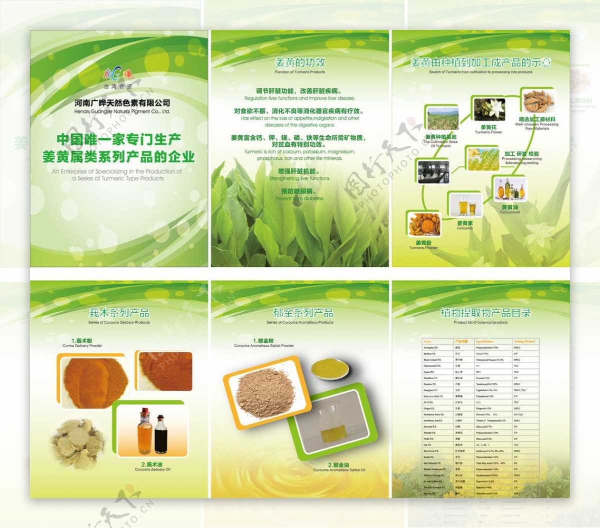 姜黄属类系列产品功效图片