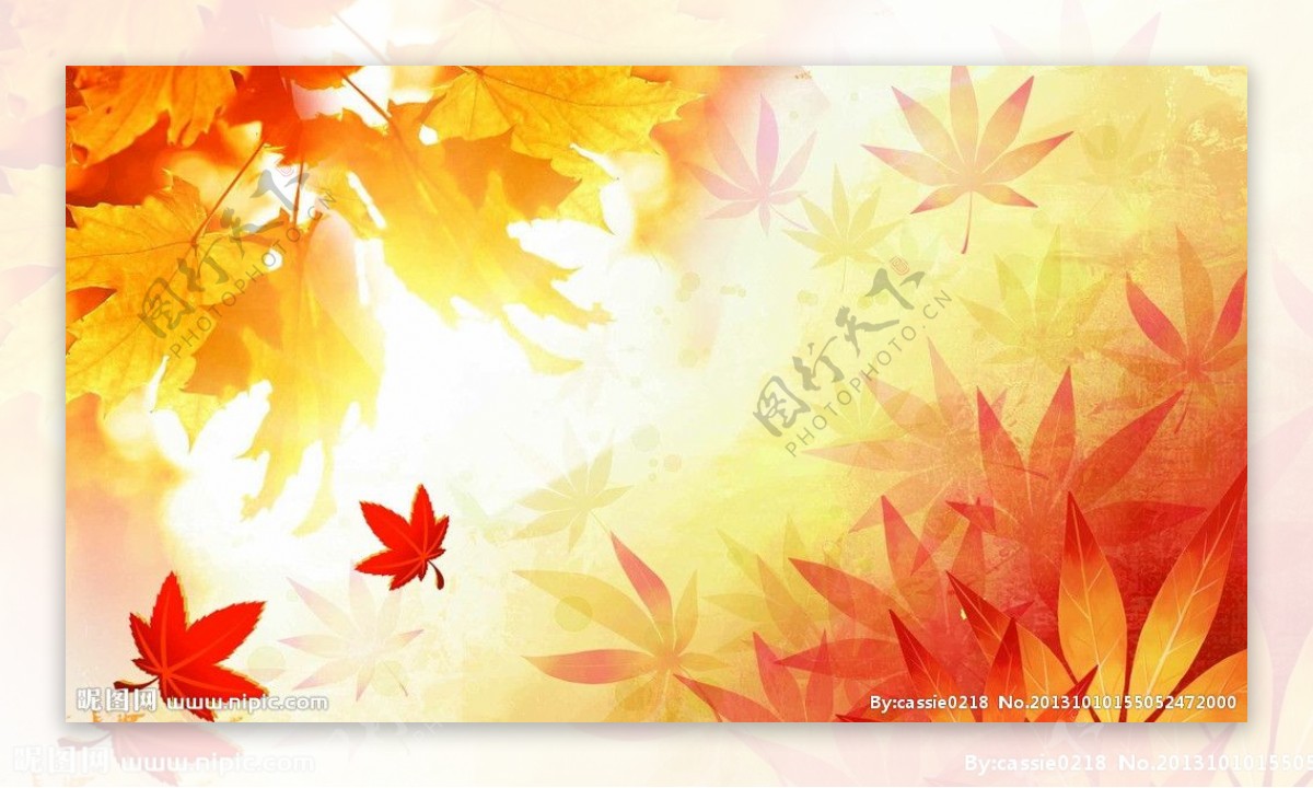 秋季海报枫叶图片