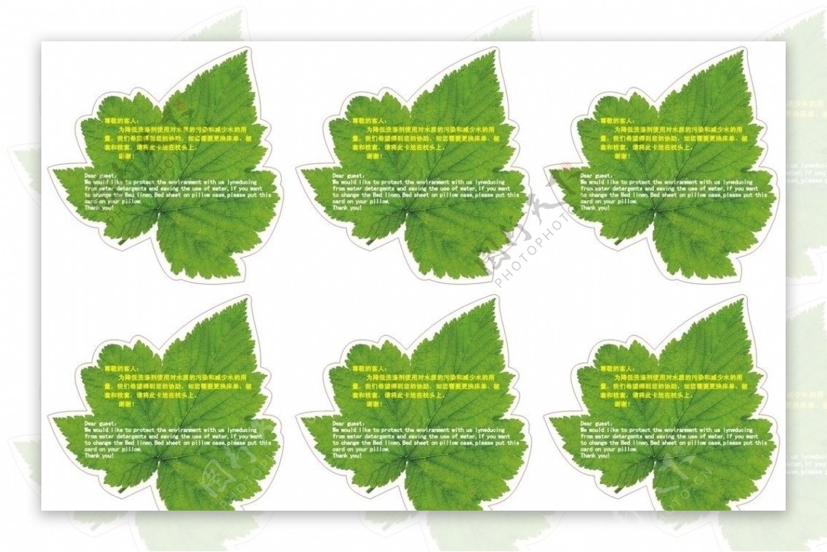 绿色异形树叶形状小卡片图片