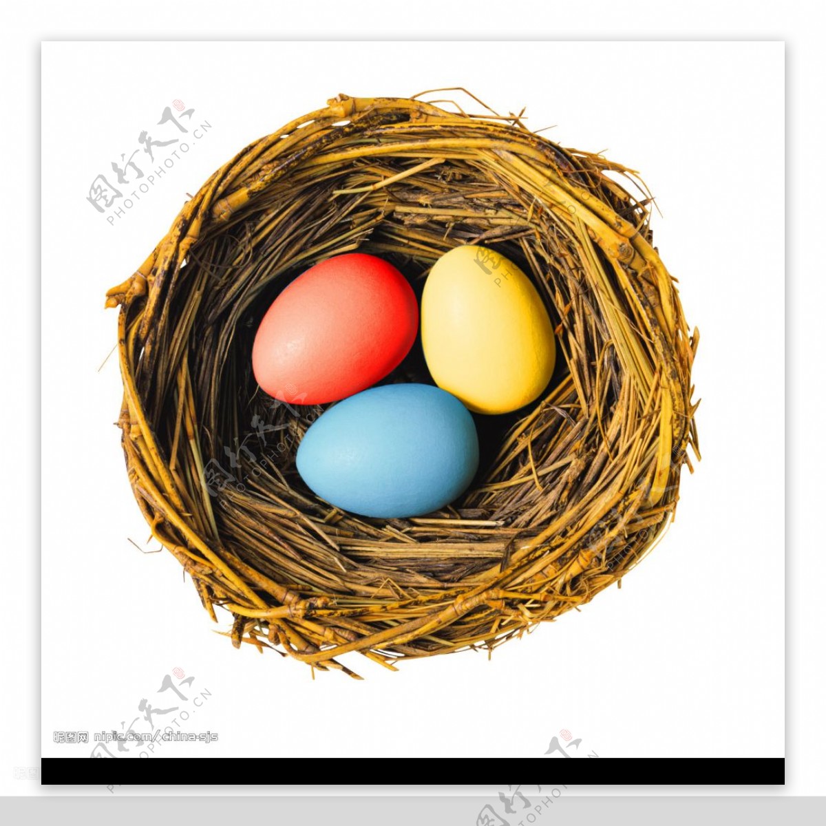 Two Eggs Bird Nest — Stock Vector © dreamcreation01 #175944334