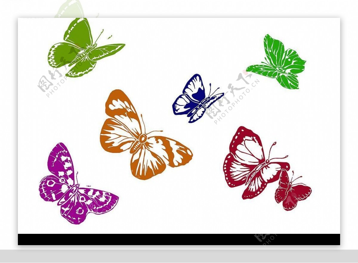 蝴蝶图案图片